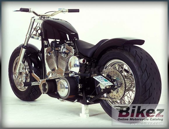 2012 Exile Cycles Fat Tracker photo